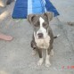 Junio 09